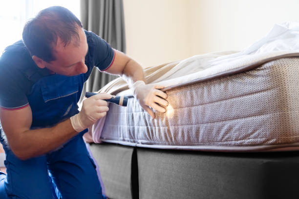 Best Bed Bug Extermination  in Coto De Za, CA